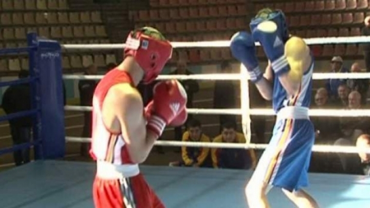 Independence Cup. International Boxing Tournament in north of Moldova