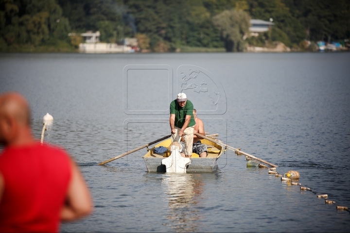 Championship of rescuers, organized near lake Ghidighici