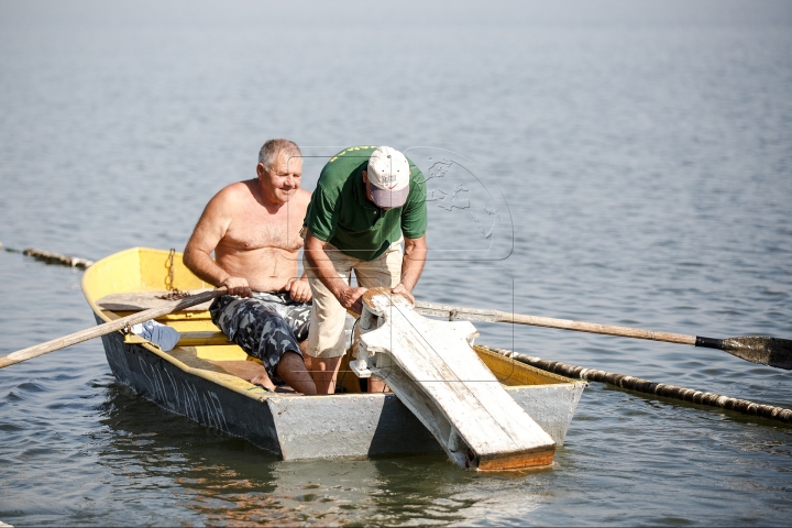 Championship of rescuers, organized near lake Ghidighici