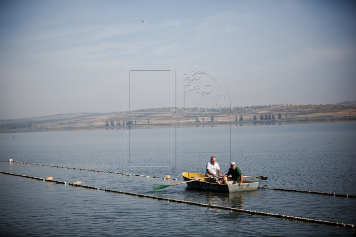 Championship of rescuers, organized near lake Ghidighici