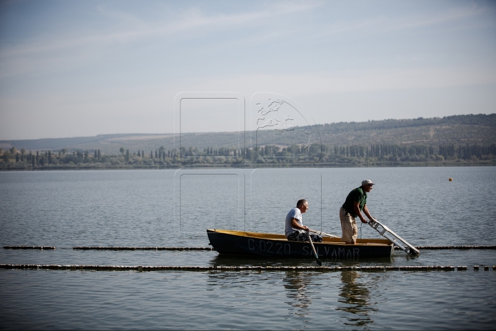 Championship of rescuers, organized near lake Ghidighici