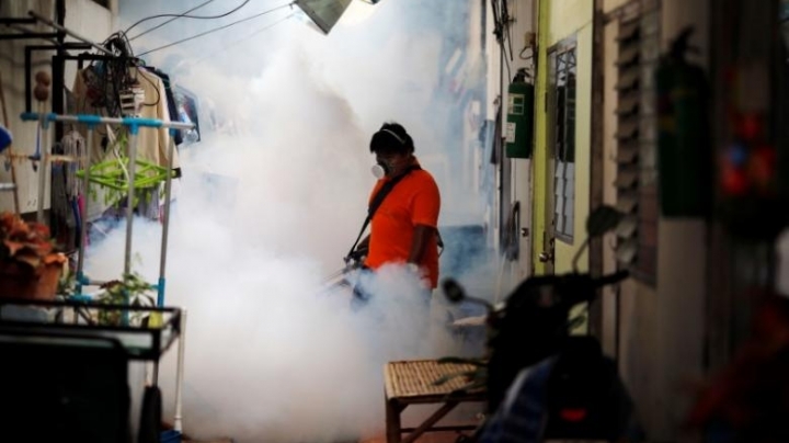 Thailand investigates four cases of suspected Zika-linked microcephaly