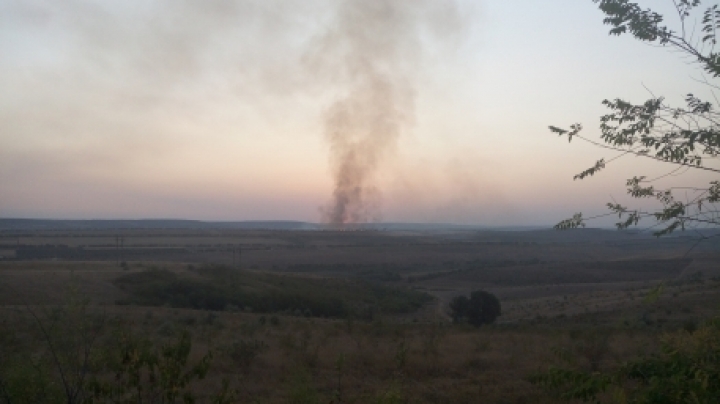 Alert! Danceni hill on fire