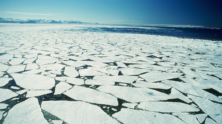 Study:Arctic sea ice shrinks to second lowest level ever recorded