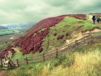 Australia's richest woman invests 245m pounds in UK's biggest potash mine