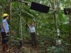 Global warming experiment turns up the heat in Puerto Rican forest