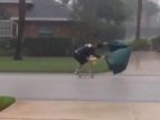 Florida man goes skateboarding in Hurricane Matthew