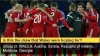 World Cup Group D qualifiers: Serbia is the first, Moldova -- the last