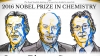 Nobel Prize 2016 in chemistry was awarded to three scientists for work on molecular machines