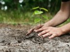 Making Moldova greener! National Tree Planting Day