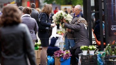 Over 1/3 of Moldovans would vote to join Romania: -- poll