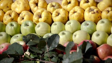 Moldova's produce exports to Russia grow