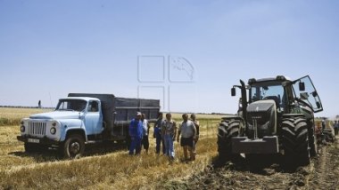 Outstanding agricultural output reported by official statistics