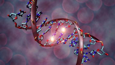 Scientists advance hypothesis leap from unicellular to multicellular life would not have taken long