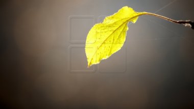 Weather Forecast for coming days: Cloudy sky and temperatures up to 11 degrees Celsius