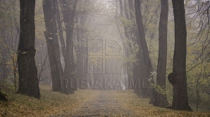 WEATHER FORECAST FOR FOLLOWING DAYS: Low temperatures and possible rains