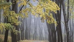 WEATHER to get colder next week