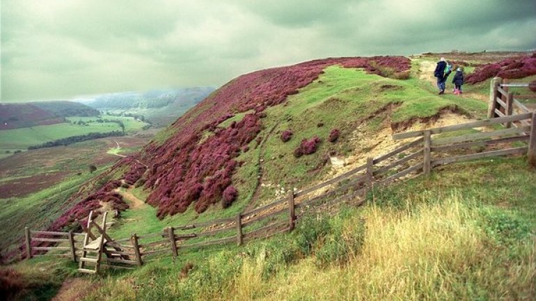 Australia's richest woman invests 245m pounds in UK's biggest potash mine