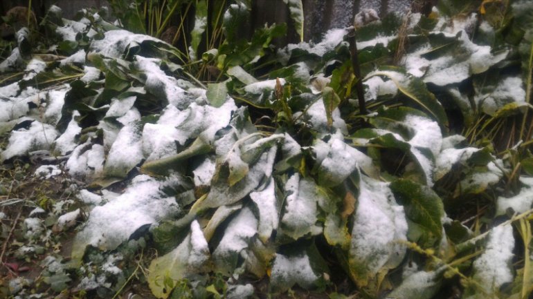 Weather: Snowing in north of country