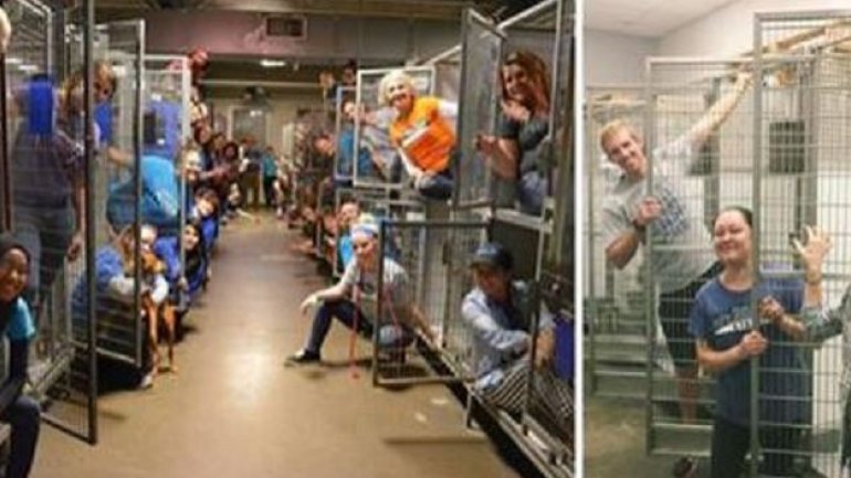 Volunteers celebrate in empty kennels after 800 pets adopted in one weekend