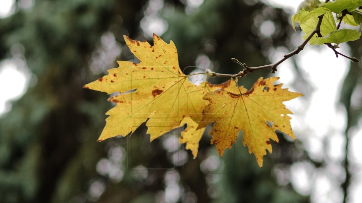 WEATHER FORECAST 6 OCTOBER 2016: Cold weather and possible frost