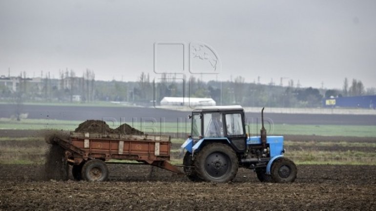 Chisinau Government to pay for losses of Dubasari district farmers