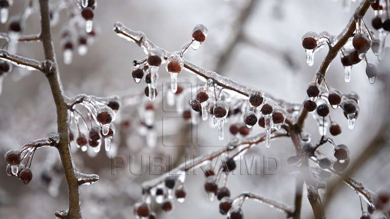 Yellow warning of frost coming right after heavy showers