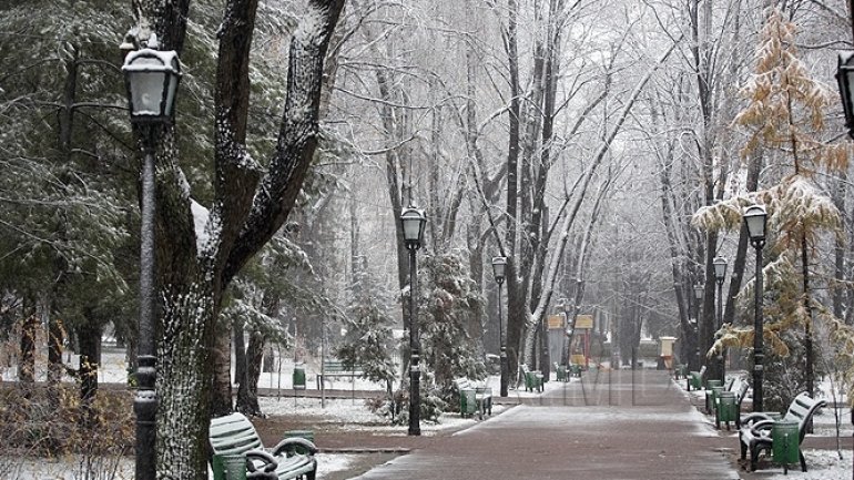 Weather forecast for following three months according to ECMWF specialists