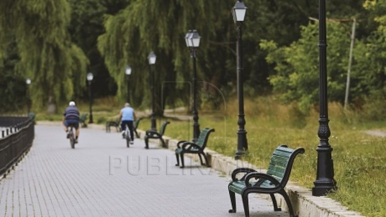 Dozens of people gathered in 'Valea Morilor' park in Capital for charity