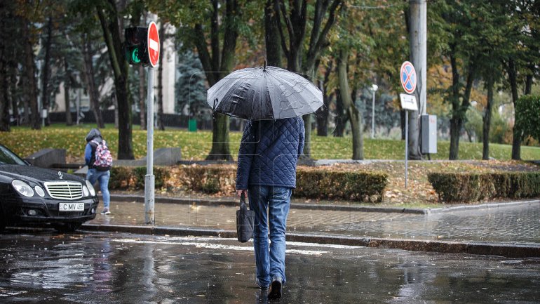 Yellow warning of heavy showers and strong wind for southern part of Moldova