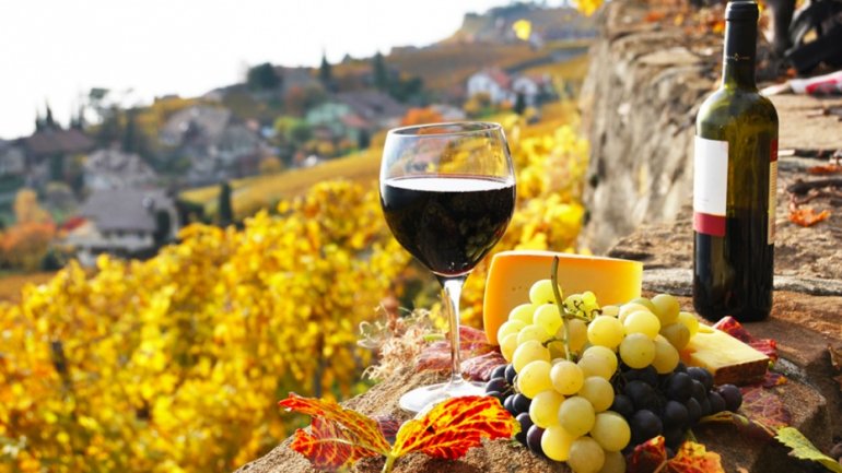 Report: Global wine production falls by 5% due to climate change