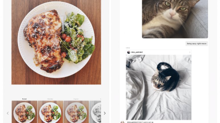 Instagram now has an app for Windows 10 tablets