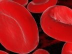 Scientists to reset blood proteins in attempt to slow ageing process