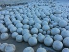 Giant snowballs appear on Russian beach in Siberia