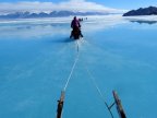 Mysterious sound scares animals in Canada's icy waters