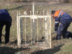 Authorities start dismantling crosses alongside roads