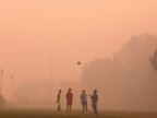 Delhi closes over 1,800 schools in response to dangerous smog