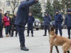 Moldova's Border Police gets two dogs from Latvian counterparts