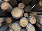 Bălți residents complain of lack in firewood on market