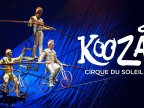 Cirque du Soleil acrobat falls on head during Brisbane show (VIDEO)