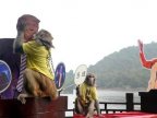 Chinese oracle monkey predicts Trump's victory in U.S. elections