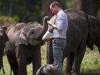 Prince William arrives in Vietnam for wildlife meeting