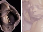 Parents can meet unborn children for first time in 3D virtual reality