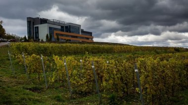 Modern horticultural research institute to open in Romania