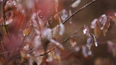 WEATHER FORECAST 28 NOVEMBER 2016: Overcast sky and glazed frost on roads