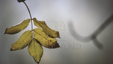 WEATHER FORECAST 26 NOVEMBER 2016: Overcast and weak wind