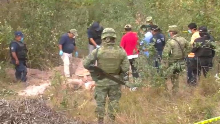 Dozens of bodies found in hidden graves in Mexico