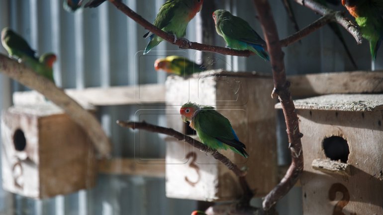 Chisinau Zoo prepares animals for chilly winter (PHOTOREPORT)