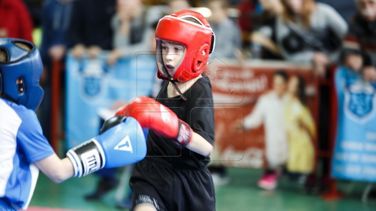 Hundreds of athletes competed at National kickboxing Championship (PHOTOREPORT)