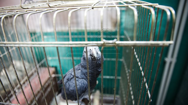 Chisinau Zoo prepares animals for chilly winter (PHOTOREPORT)